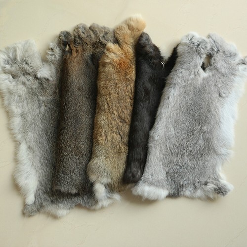 5pcs genuine rabbit - rabbit, pelt